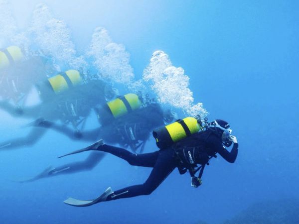 BeFree2Dive - Port de Marina Baie des Anges - Villeneuve-Loubet